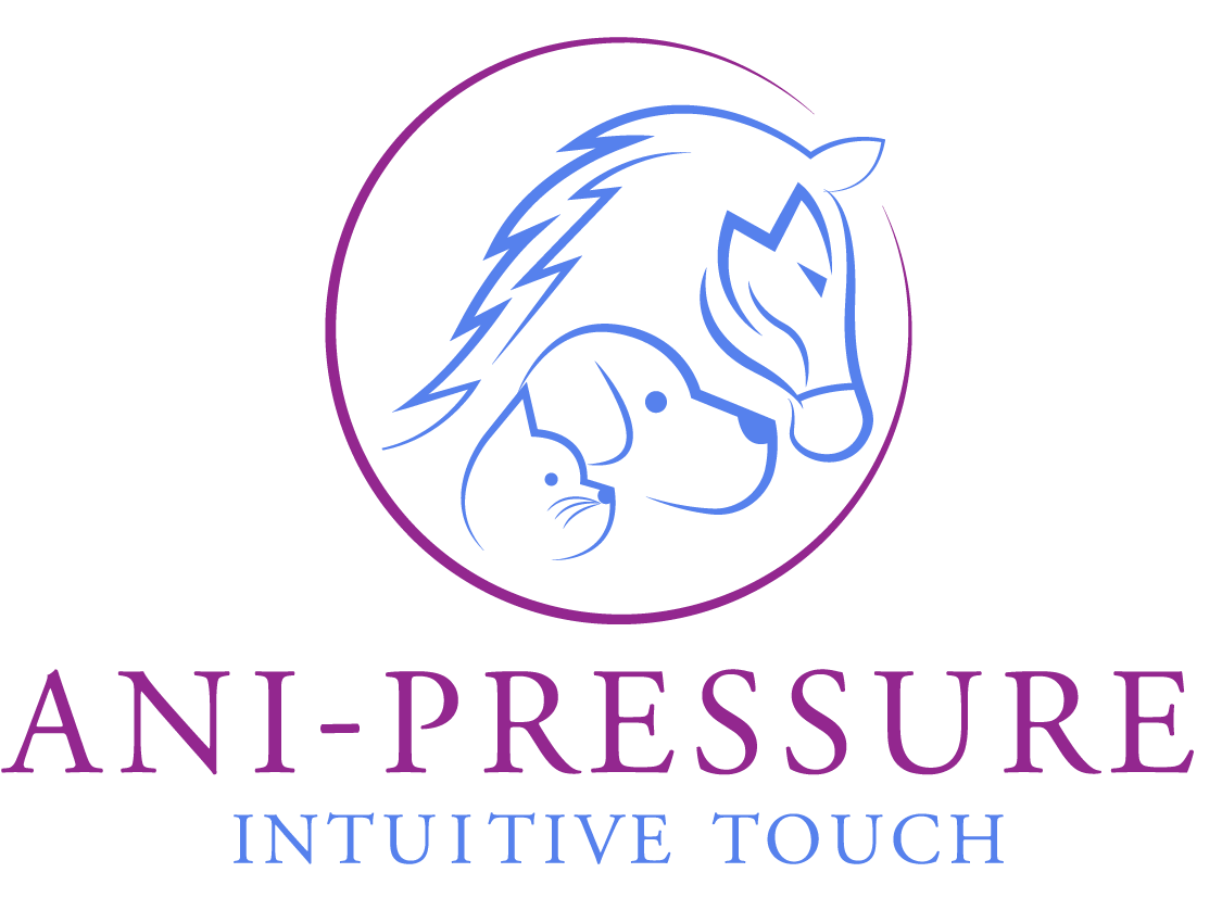 Ani-Pressure